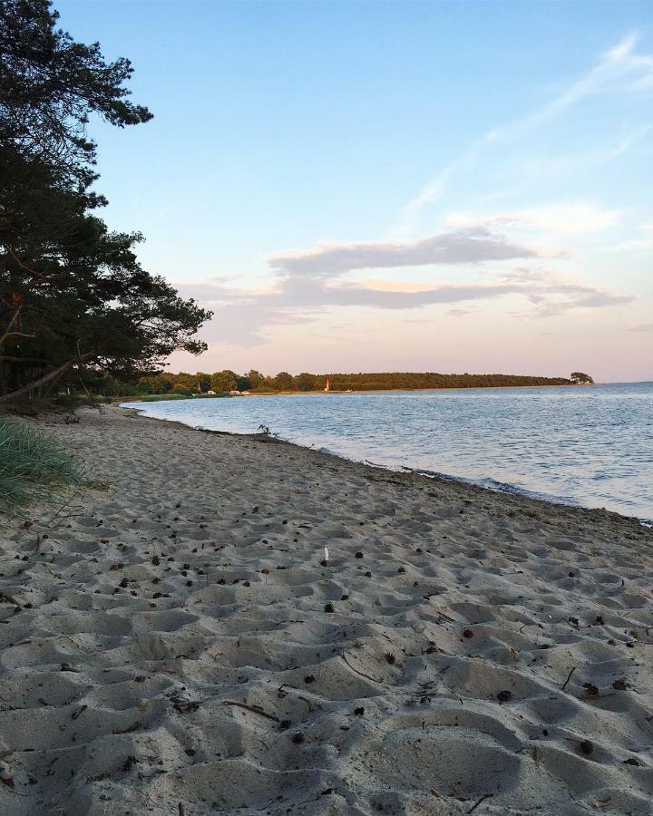 Ferienhaus Anker Βίλα Zudar Εξωτερικό φωτογραφία